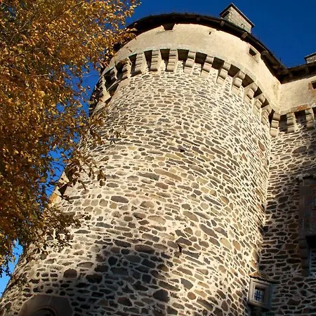 Guest house Chateau De La Vigne Ally (Cantal)