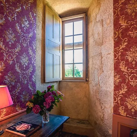 Chateau De La Vigne Affittacamere Ally (Cantal)