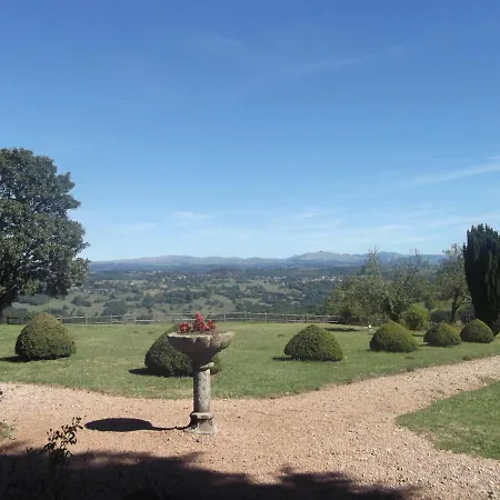 Chateau De La Vigne Ally (Cantal)